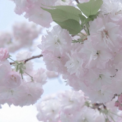 龙游FurryQQ群介绍